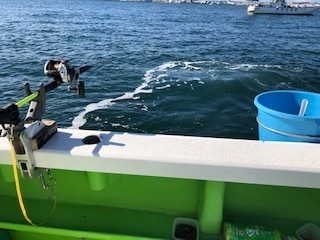 IMG_6517.jpg