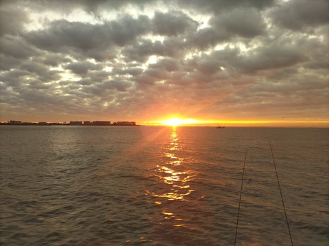 DSC_1110.JPG